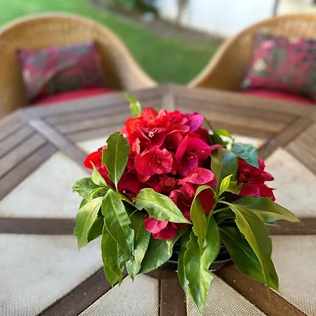 بيت للعطل Ellegance - Shared Pool - 6 Guests - Vilamoura *